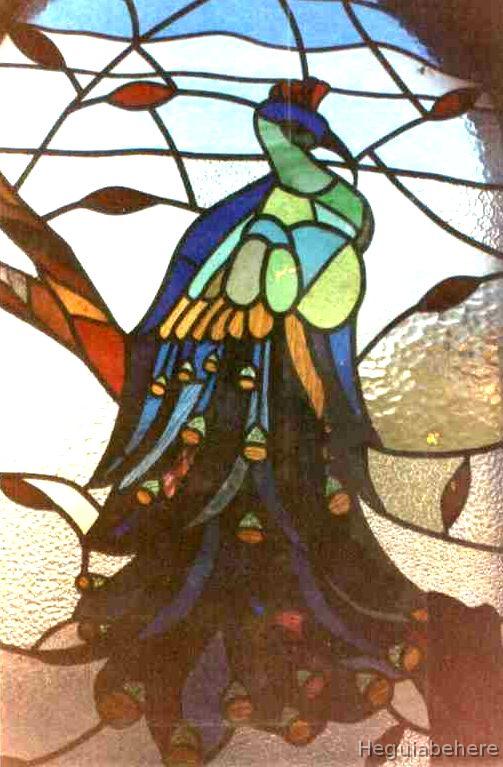 pavo-de-cerca