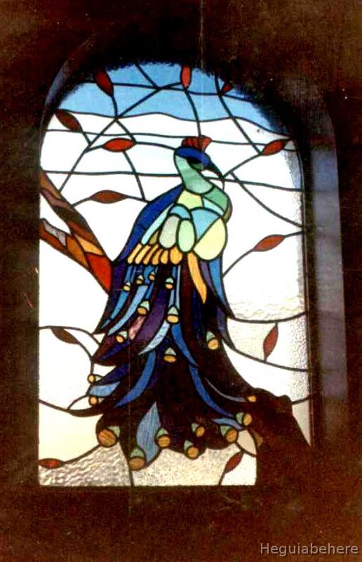 pavo