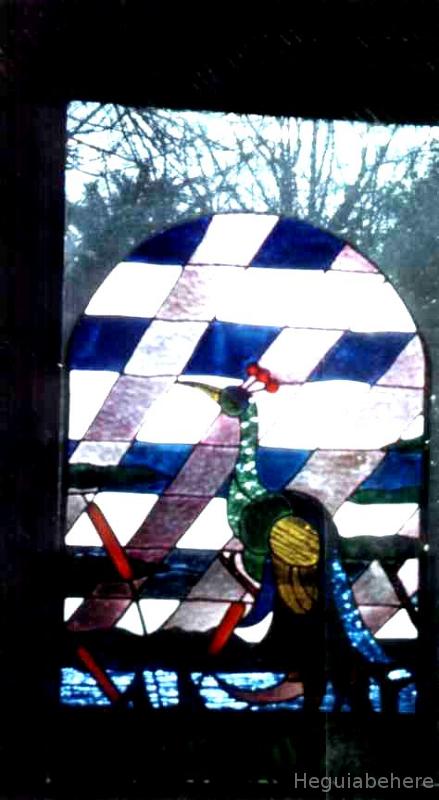 vanimal-pavo-lago